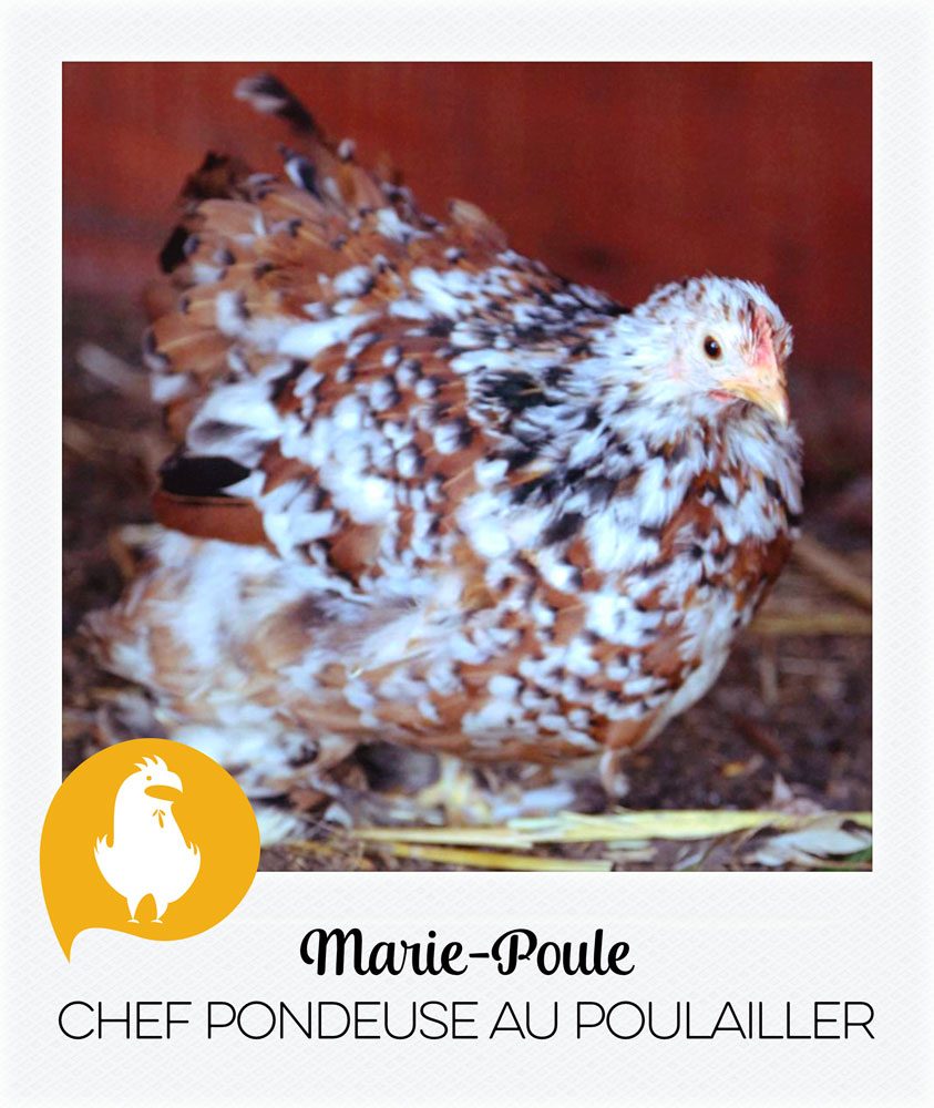 Marie Poule